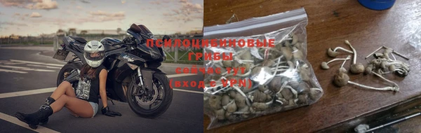 молекула духа Армянск
