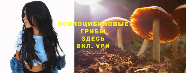 трава Балахна
