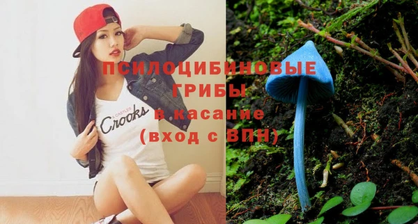 молекула духа Армянск