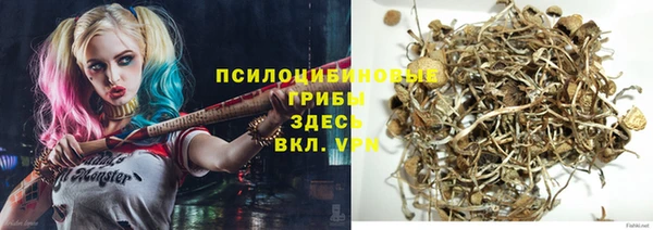 метадон Арсеньев